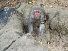 -黔灵山公园