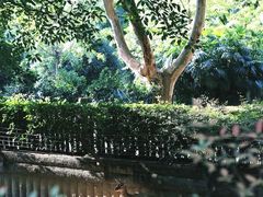 -成都动物园