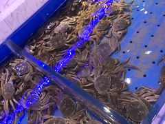 -澜悦港海鲜体验主题餐厅