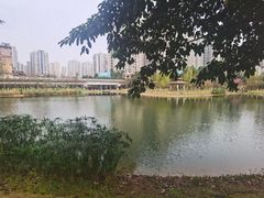 -沐仙湖湿地公园
