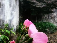-前童古镇