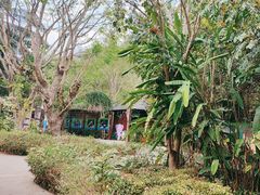 -野象谷景区