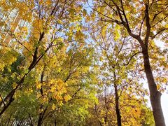 -北京丽景湾国际酒店