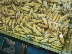 -雅逸居海鲜小厨