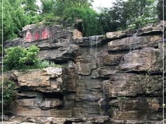 -铁山坪森林公园