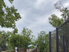 -武汉动物园