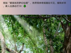 -西双版纳傣族园