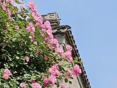 -老门东历史文化街区