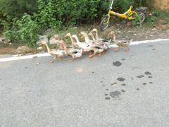 -崇阳三特浪口温泉
