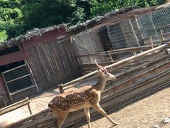 -北京山里寒舍度假酒店