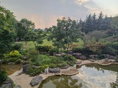 -铁山坪森林公园