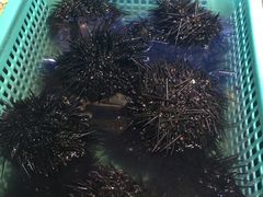-船梆煮•蒸汽海鲜·生腌干蒸(五四广场店)