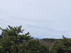 -王莽岭风景区