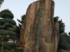 -昆山城市生态森林公园