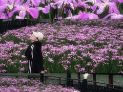 -龙头寺公园
