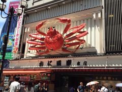 -蟹道乐(道顿堀本店)