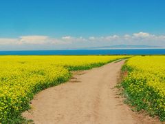 -青海湖国家重点风景名胜区