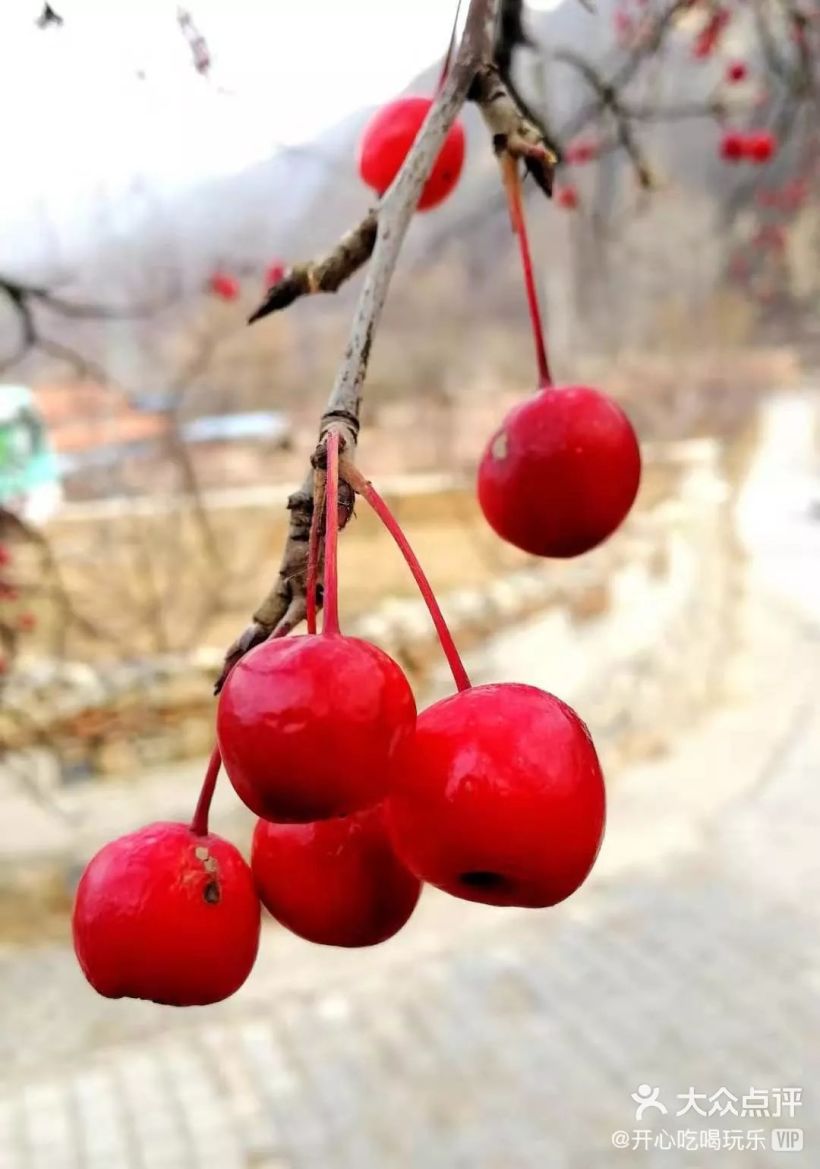 长峪城,遇见最美雾凇!