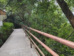 -白云山风景名胜区
