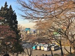 -新罗免税店(首尔总店)