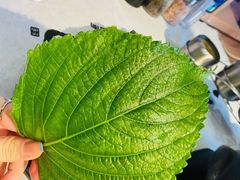 -卜奎烤右