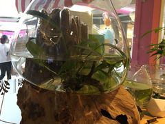 -谷莠子花艺·气球派对·绿植造景·花艺沙龙(金光华广场店)