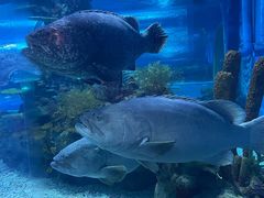 -上海海昌海洋公园