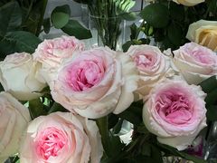 -FEI FEI FLOWER鲜花店·气球派对·宝宝宴布置(虹口德必运动Loft店)