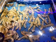 -澜悦港海鲜体验主题餐厅