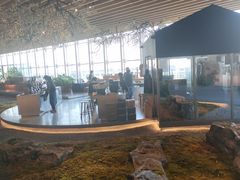 -Seesaw Coffee(朝阳大悦城店)