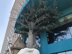 -幸福花欢乐世界(东辰广场A座店)
