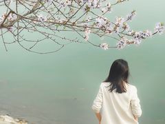 -羊山湖公园