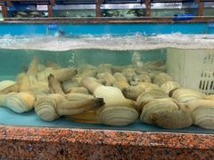 -渔人湾码头海鲜市场负二楼