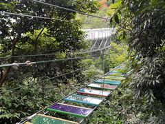 -海南槟榔谷黎苗文化旅游区