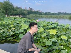 -前关湿地公园