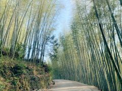 -永泰中国云顶