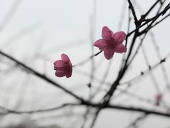 -重庆彩云湖湿地公园