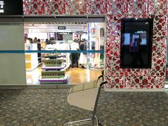 -日上免税行(浦东机场五店)