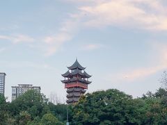 -塔子山公园
