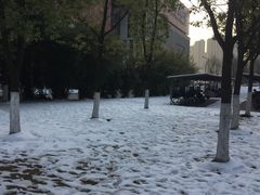 -武汉市民之家