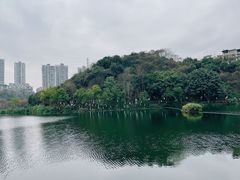 -重庆彩云湖湿地公园