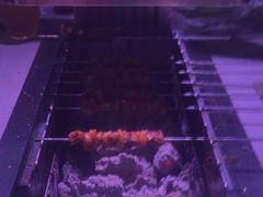-丰茂烤串(全国首店)