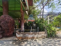 -绿光森林餐厅