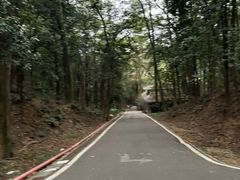 -滴水岩森林公园