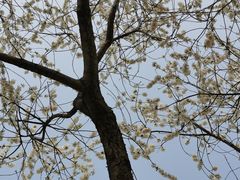 -永定河休闲森林公园