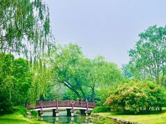 -北坞公园