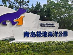 -海合安青岛极地海洋公园
