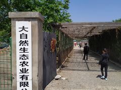 -大自然农场蔬菜草莓采摘园