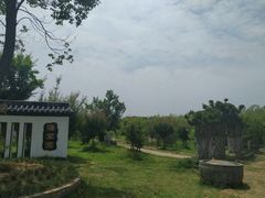 -武汉紫薇都市田园