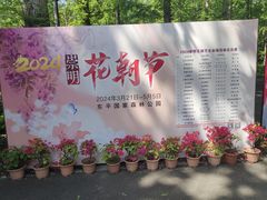 -东平国家森林公园